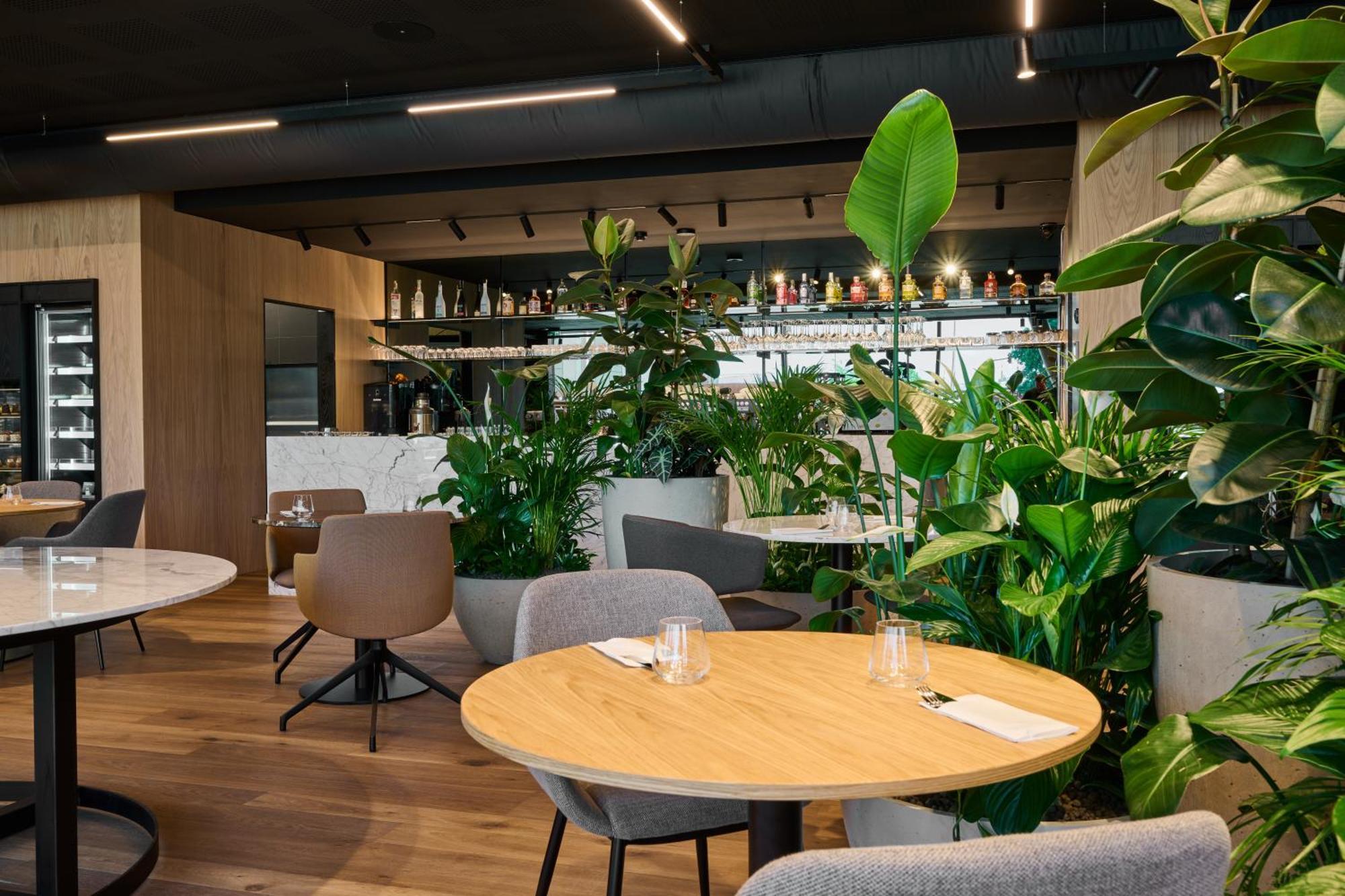 Aba Apartments Olomouc Eksteriør billede