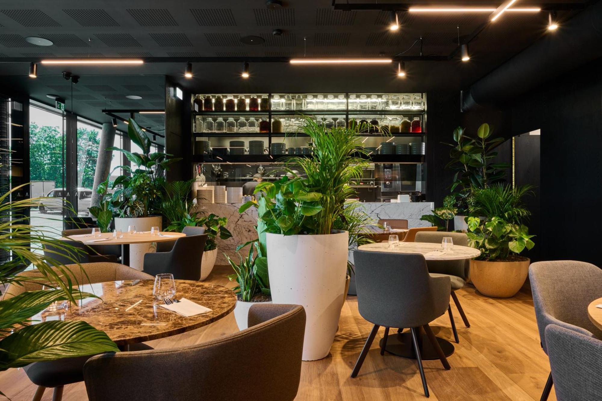 Aba Apartments Olomouc Eksteriør billede